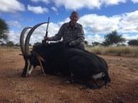 37 inch sable bull trophy