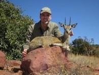 Trophy Klipspringer