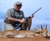 Trophy Sharp's Grysbok in Limpopo