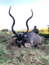giant trophy kudu in south africa