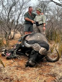Spot and Stalk Buffalo Trophy