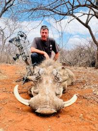 Discounted Plains Game Bow Warthog trophy