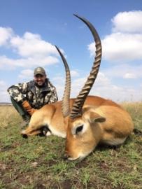 Trophy Lechwe