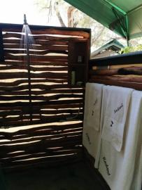 Elephant Hunt in Zimbabwe 16