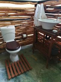 Elephant Hunt in Zimbabwe 17