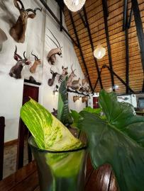 Buffalo Hunting Lodge inside