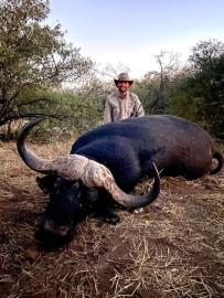 Trophy Buffalo Hunt in South Africa