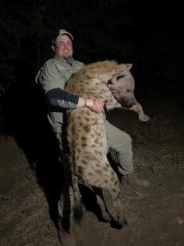 Hunt Hyena at Night