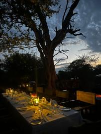 Outdoor dining at the plains game hunting camp