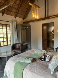 lioness hunting lodge