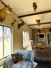 buffalo hunt lodge