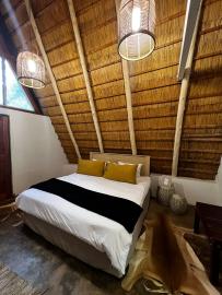 hunting lodge for African Cape Buffalo Cows