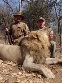 Large Tanzania Trophy Lion