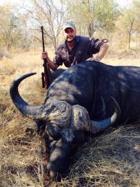 Selous Reserve Cape Buffalo trophy