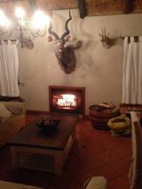 Bushpig Hunt with Dogs 4