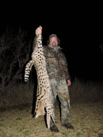 Trophy Serval
