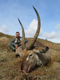 Full Bag Safari in Zimbabwe 14