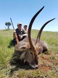Giant Midlands Waterbuck