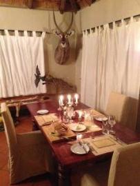 Bushpig Hunt with Hounds 6