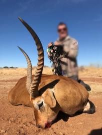 Bow Hunt Trophy Impala