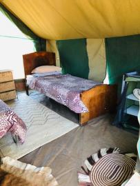 Tent interior in Zimbabwe Discounted leopard camp