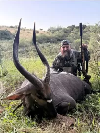 hunt free range nyala in south africa