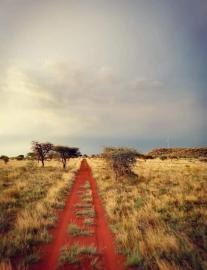 Free State plains game hunt landscape