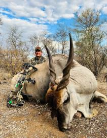 Trophy Archery Eland