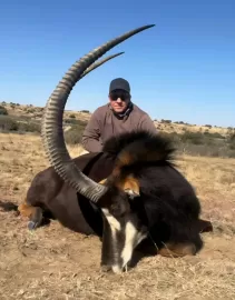 sable hunting on a free range concession