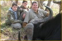 Cape Buffalo Hunt in South Africa 4