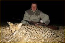 Cape Buffalo and Serval Hunt in South Africa 9