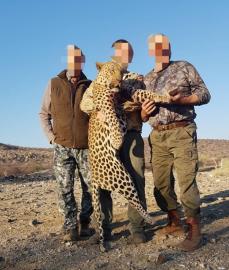 Namibia 6 / Day 5 Animal Safari Package 12