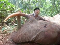 View of Cameroon's Rain Forest