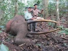 Forest Elephant Hunting Safari in Cameroon's Rain Forest 2