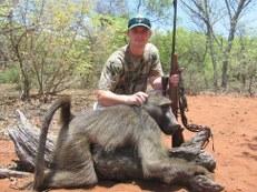 trophy baboon