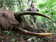 Forest Elephant Hunting Safari in Cameroon's Rain Forest 4