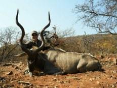 Big Kudu