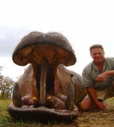 Discounted Crocodile and Hippo in South Africa 7