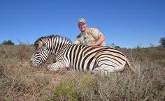 eastern cape zebra trophy