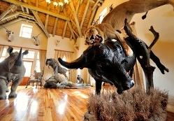 5 Star Eastern Cape trophy room