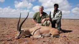 Massailand Gazelle 2