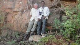 Maasailand klipspringer