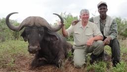 Maasailand trophy Cape buffalo