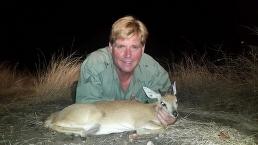 Mozambique Sharp's Grysbok Trophy