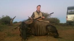 Blue Wildebeest 2