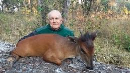 Trophy Red Duiker in Mozambique