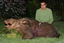 Hunt Serval in South Africa 10