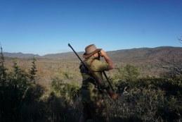 Glassing for kudu