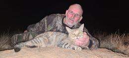 Trophy African Wildcat