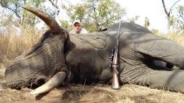Hunt Elephant in Mozambique 1